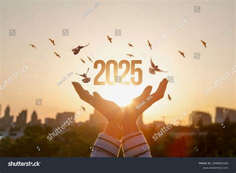 Future 2025 Concept Hope Expectation Future Stock Photo 2499803209 ...