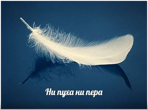 ABC Russian: What does "Ни пуха ни пера" Russian expression mean?