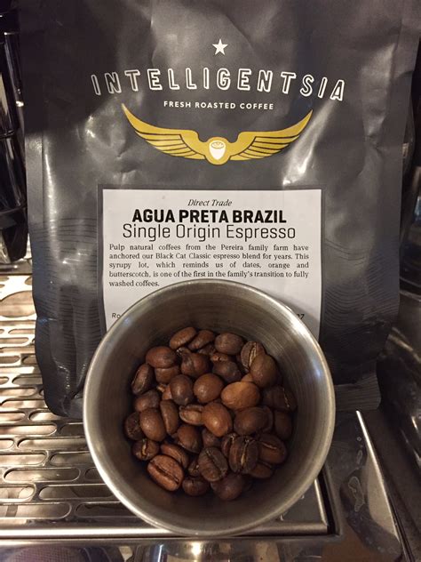 Preta Brazil Porn
