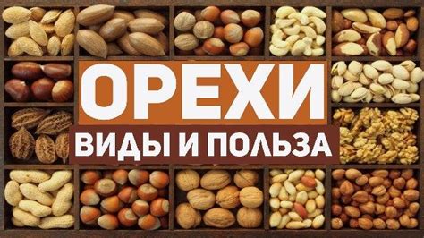 Орехи для детей какие полезные с какого возраста