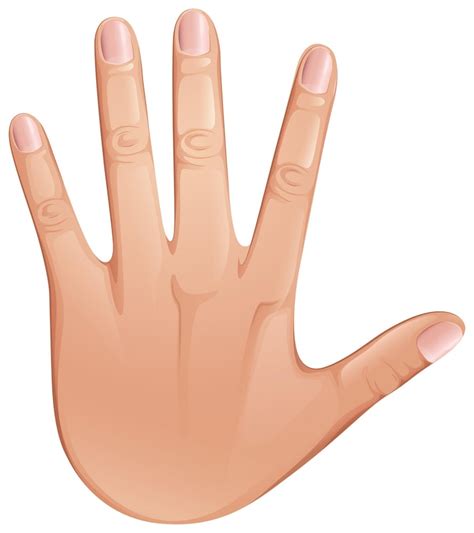 clipart hand bilder kostenloser  auf freepik