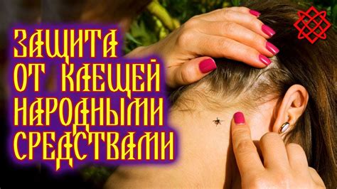 НАРОДНЫЕ СРЕДСТВА ДЛЯ БОРЬБЫ С КЛЕЩАМИ. Защита от Клещей - YouTube