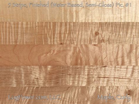 tiger maple hardwood flooring flooring site