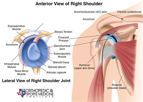 shoulder injuries