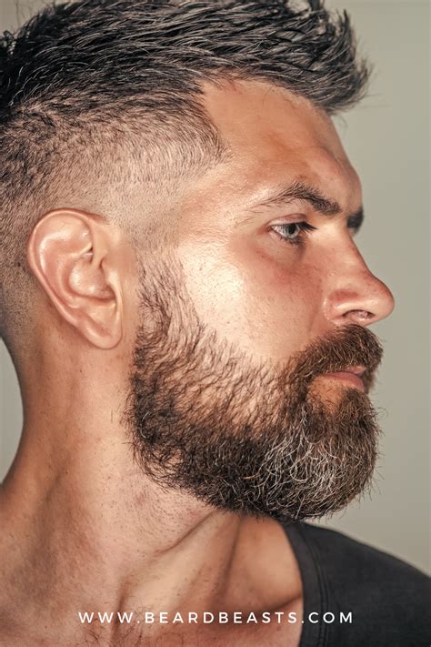 short beard styles  men  sharpen   instantly beard