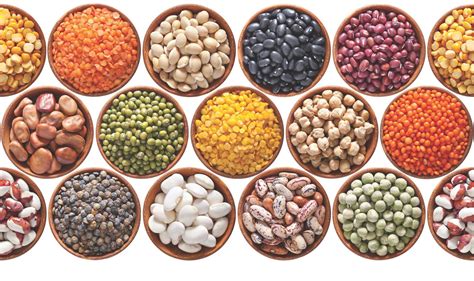 legumes  family worth