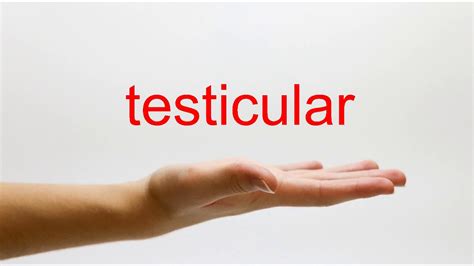 How to Pronounce testicular - American English - YouTube