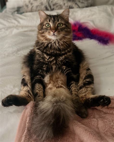 Karen Cliche (@karencliche) • Instagram photos and videos