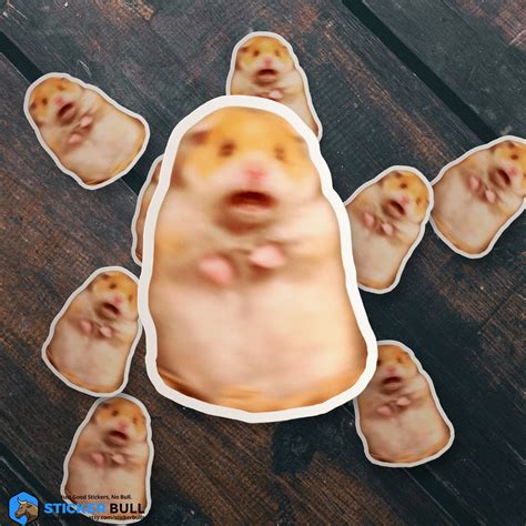 guide to hamster scared fast 4