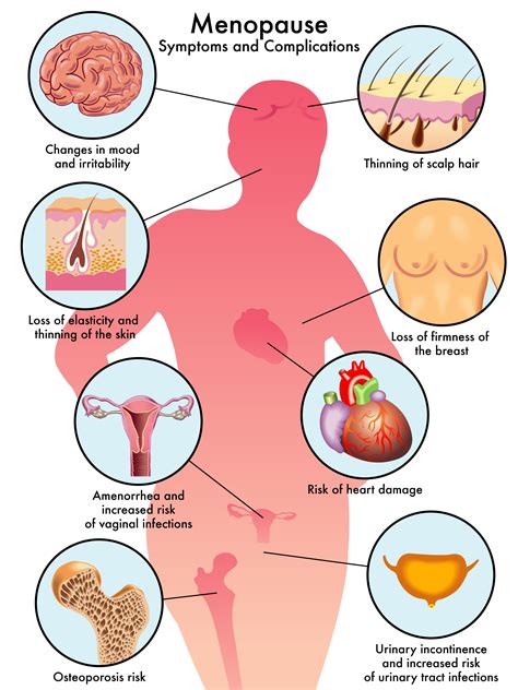 What Happens When You Hit Menopause? // whut.pages.dev