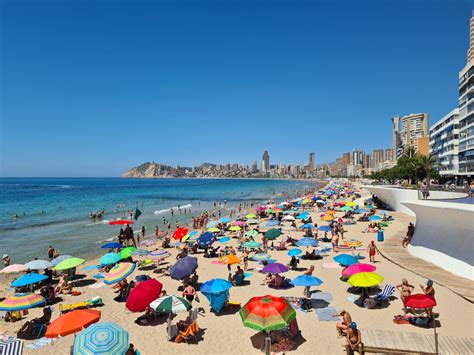 Qué hacer en verano en Benidorm - Mundomar BenidormMundomar Benidorm