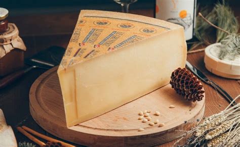 Самые вкусные сыры — 40 видов с описанием и фото