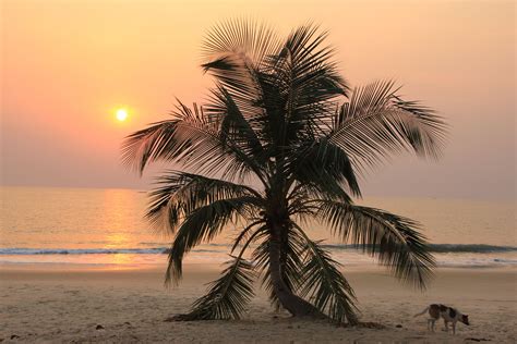 5 reasons why sierra leone is the world s fastest growing travel