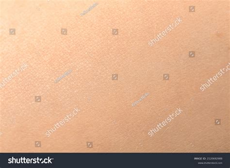 human face skin texture