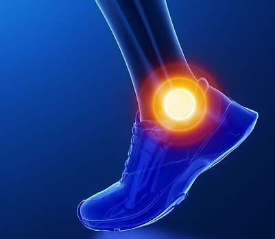 Ankle | Toufic R. Jildeh, MD