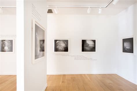 INSTALLATION VIEWS — Linda Foard Roberts