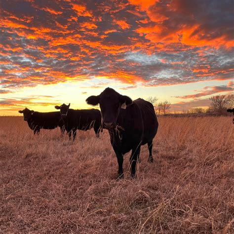 Parker Inspections of Tulsa, Inc - PI TIP! 👀 Now that we're finally