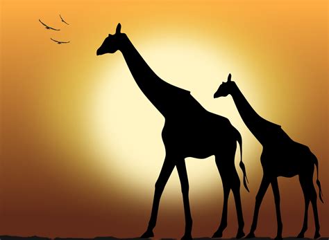 Giraffe Silhouette Patterns