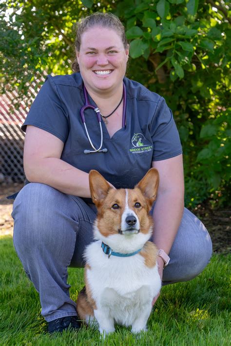 Bridge Street Veterinary Clinic Photo Gallery | Vet Clinic In Brighton