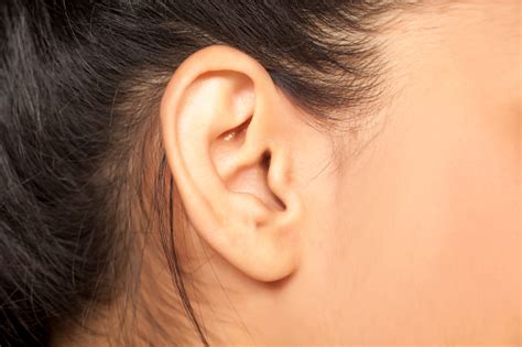 Female Ear Stock Photo - Download Image Now - iStock