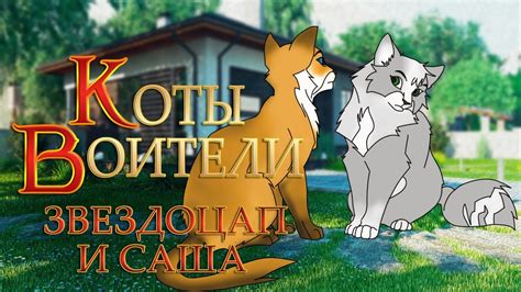 КОТЫ ВОИТЕЛИ | Звездоцап и Саша. 11 серия. Озвучка манги. - YouTube