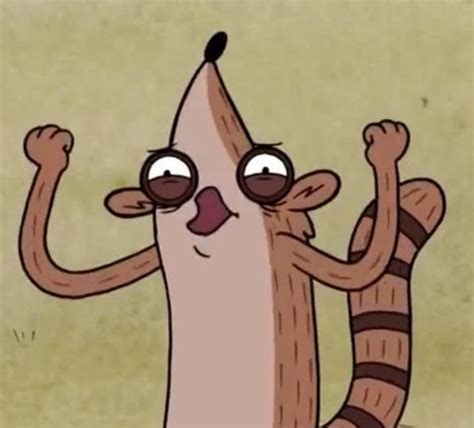 Regular Show Rigby Face