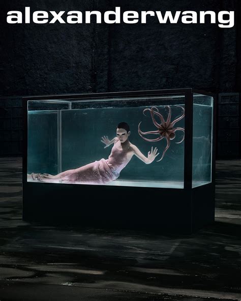 Jade Hsu (@jadehsuu) • Instagram photos and videos