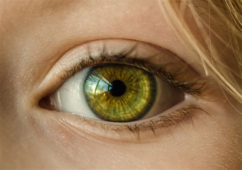 [DIAGRAM] Diagram Of A Eye - MYDIAGRAM.ONLINE