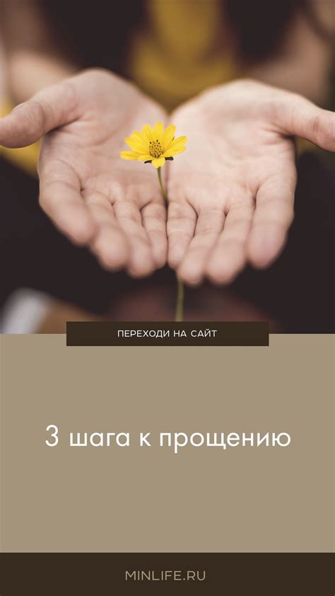3 шага к прощению | Прощение, Фотография природы, Жизненные советы