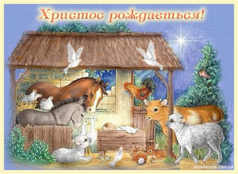 Різдвяна відкритка - Відкритки з Різдвом - Інтернет-відкритки - Каталог ...