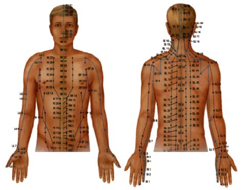 Meridians | mysite