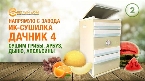 2. Инфракрасная сушилка Дачник 4 или вентиляторная (тест обзор). Лучшие ...