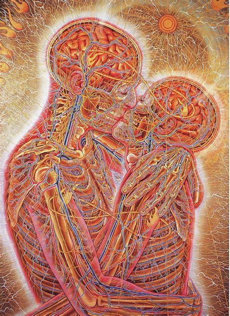 Corazon Anatomia Wallpaper - Gratis per usi commerciali attribuzione ...
