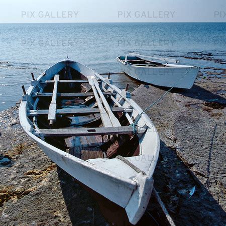 Ekor foto, 103 bilder totalt | Bildbyrå Pix Gallery