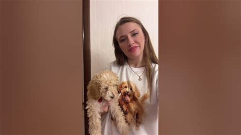 Я с пуделем - YouTube