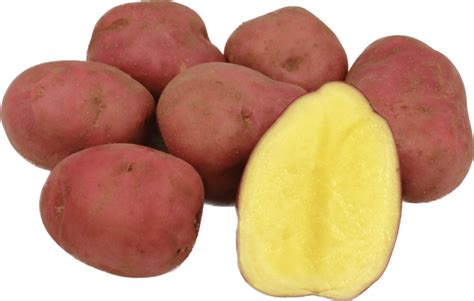 Bartina - Unipatatas.dk