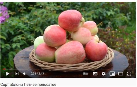 Летнее полосатое