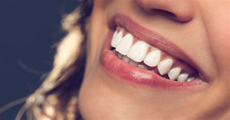 The Anatomy of Teeth - Facty Health 