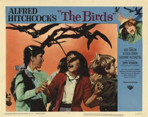 All Posters for The Birds at Movie Poster Shop