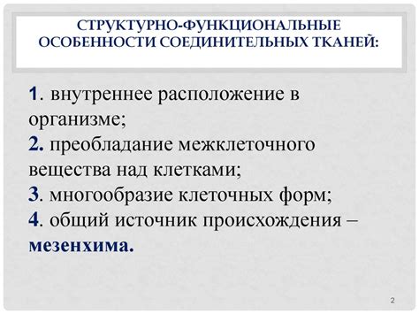 Соединительная ткань - презентация онлайн