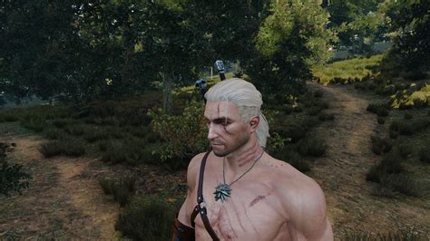 Скачать Witcher 3: Wild Hunt "Striga Scars on Geralt\Шрамы от Стрыги на ...