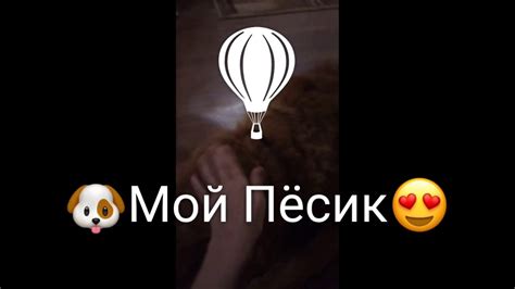 Мой ПЕСИК🥰 - YouTube