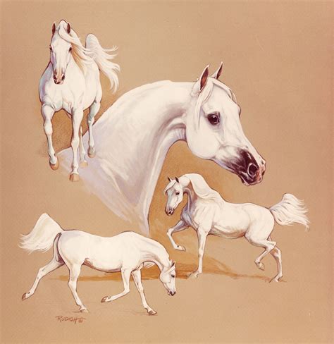 Three White Horses Running and Jumping Illustration