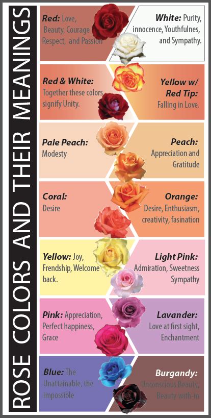 rose color  meaning chart