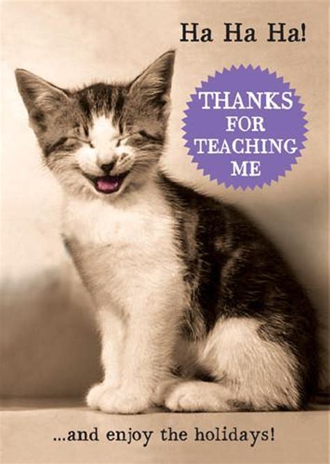 cute funny animal cards 1