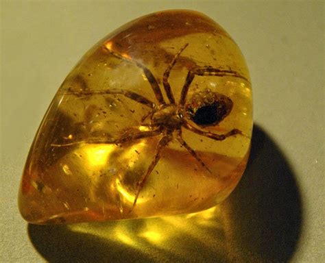 amber geology page