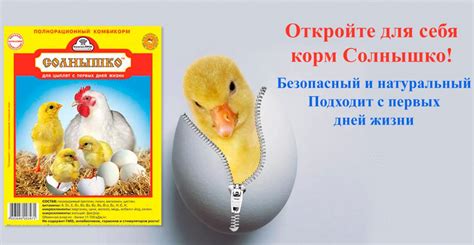 Полнорационный корм Солнышко для птицы - Группа компаний Капитал ПРОК