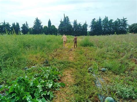 seasons   family naturist farm  nimes france