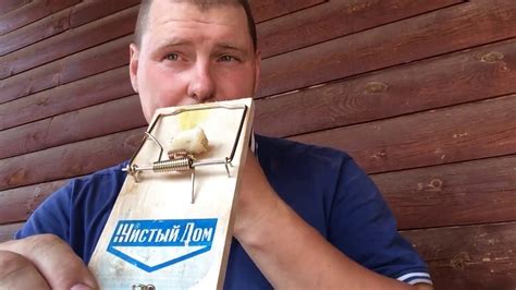 КРЫСОЛОВКА - КАК ЗАЧЕМ И ПОЧЕМУ? Выбираем крысоловку. Борьба с ...