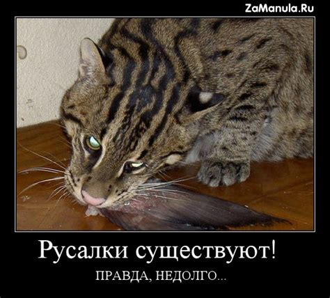 Русалки существуют!